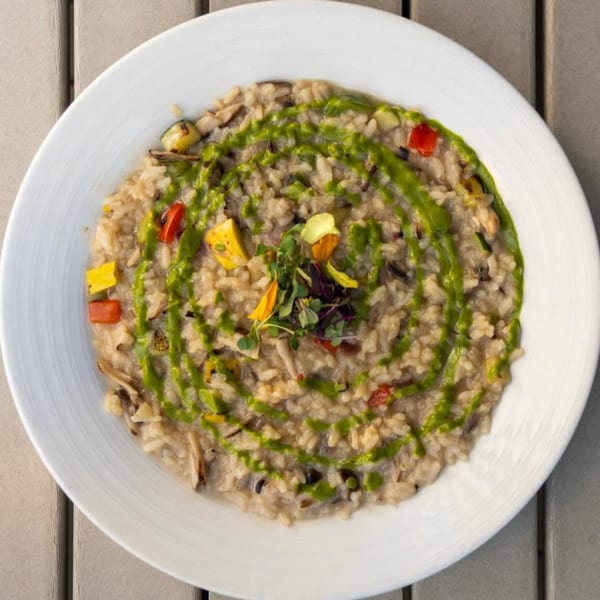 Creamy risotto with green sauce, colorful bell peppers, and fresh herbs on a white plate.
